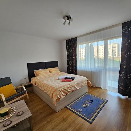 Elena'S Studio Brasov Coresi 외부 사진