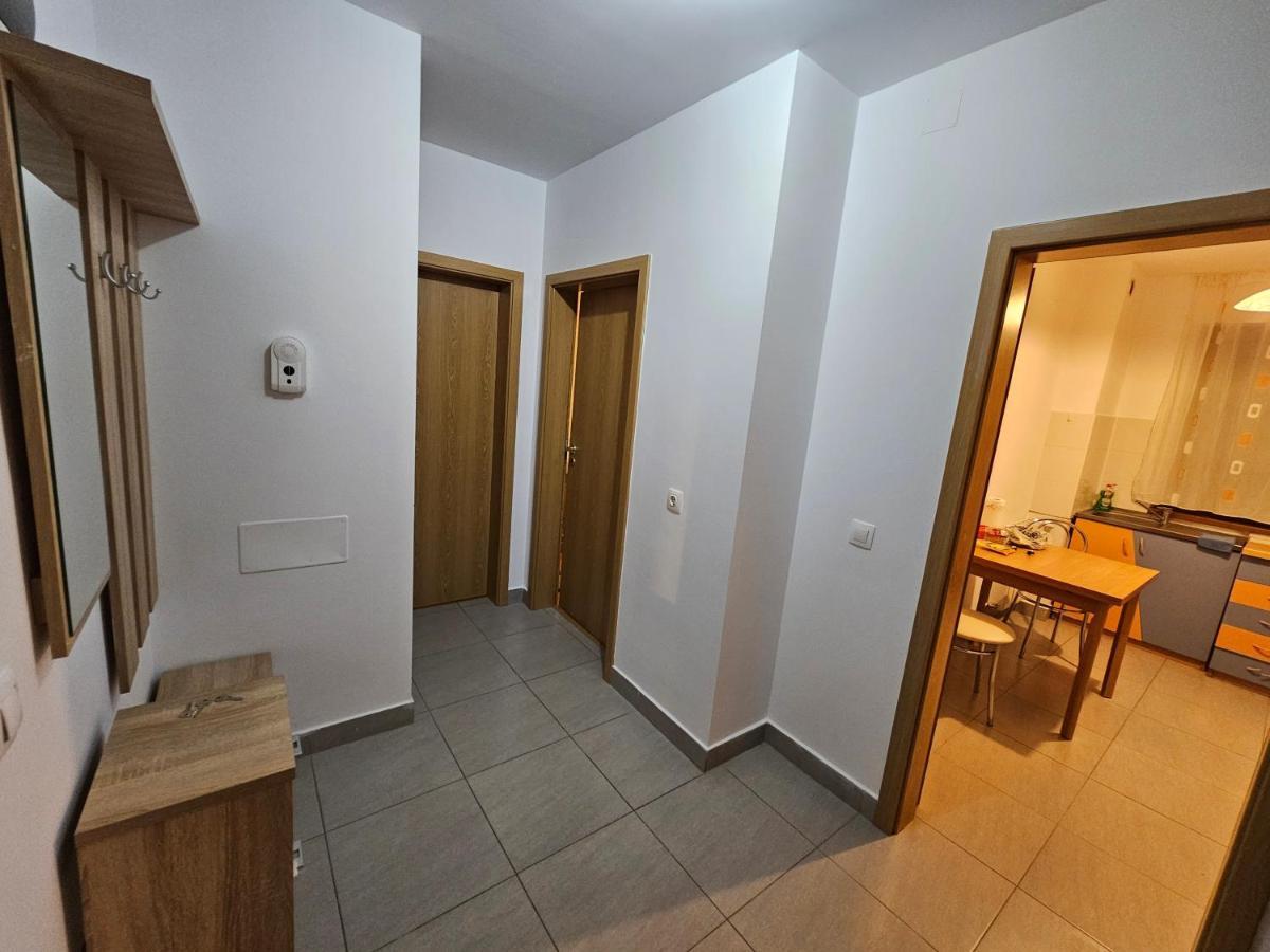 Elena'S Studio Brasov Coresi 외부 사진