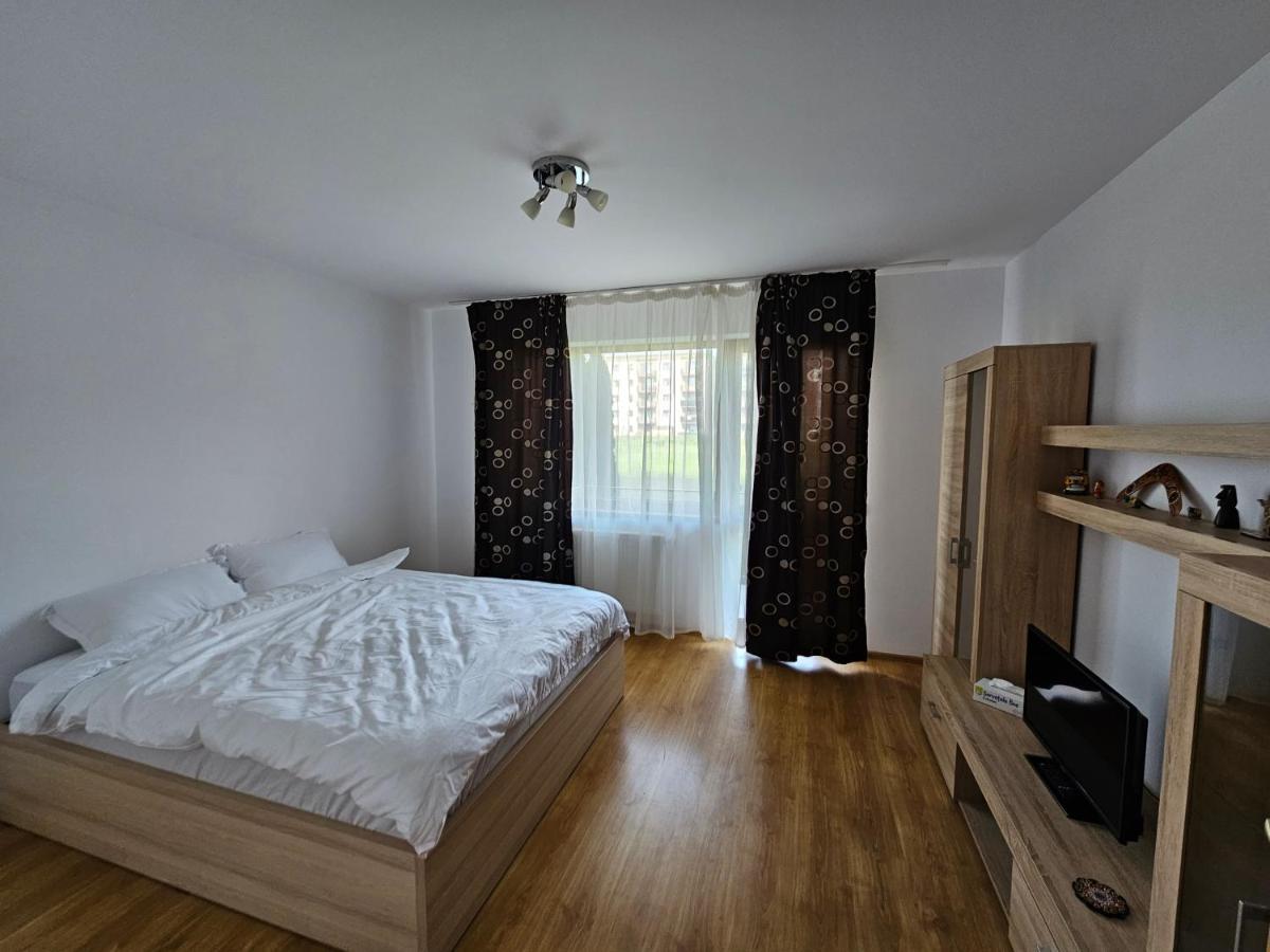 Elena'S Studio Brasov Coresi 외부 사진